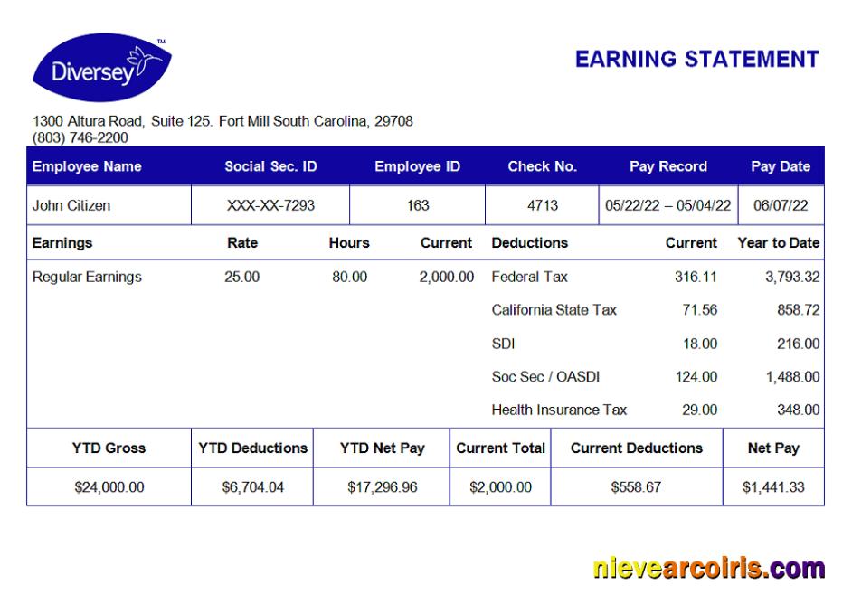 USA Diversey household goods company pay stub